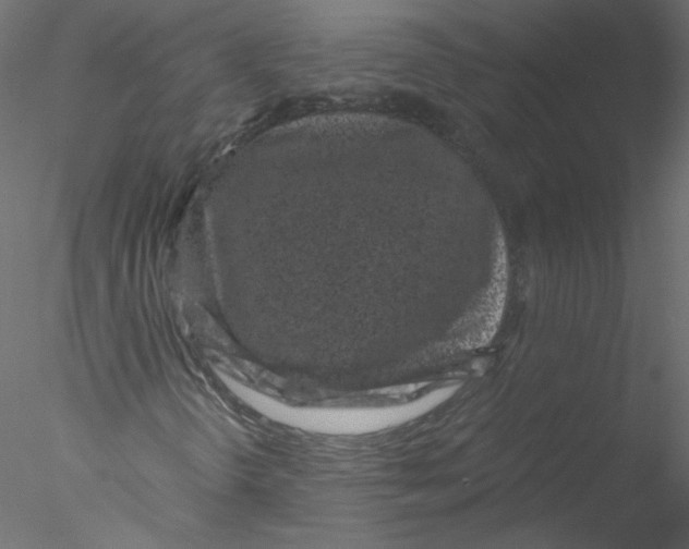 X0000076411298200611031737