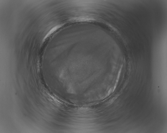 X0000076411306200611031737