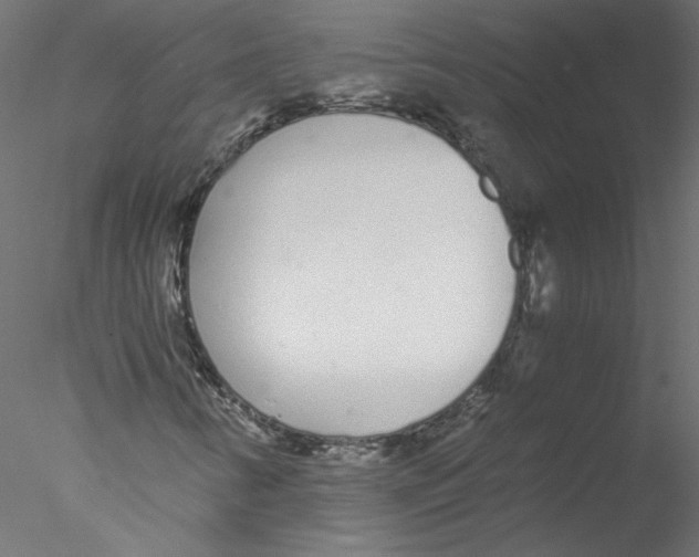 X0000076411346200611031737