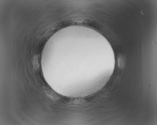 X0000076411347200611031737