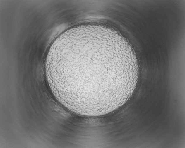 X0000076411362200611031737