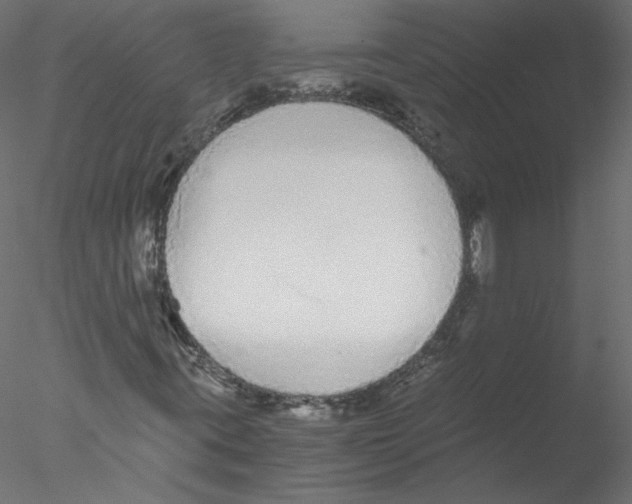 X0000076411395200611031735