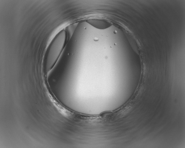 X0000076411426200611031736