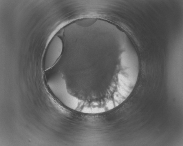 X0000076411428200611031736