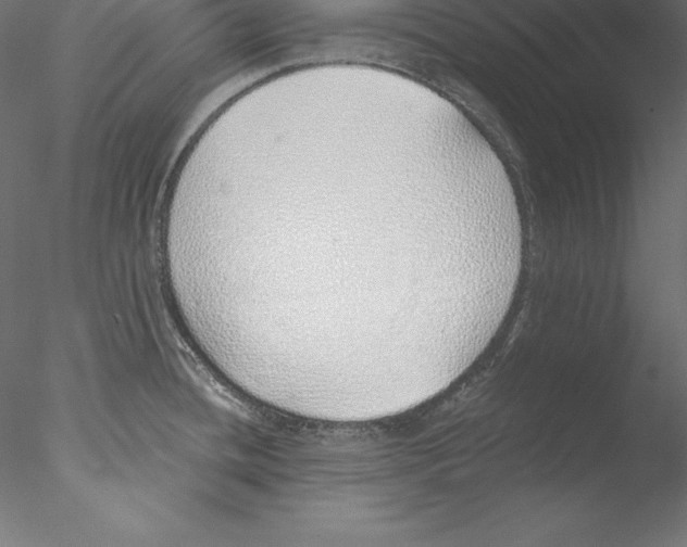 X0000076411436200611031736