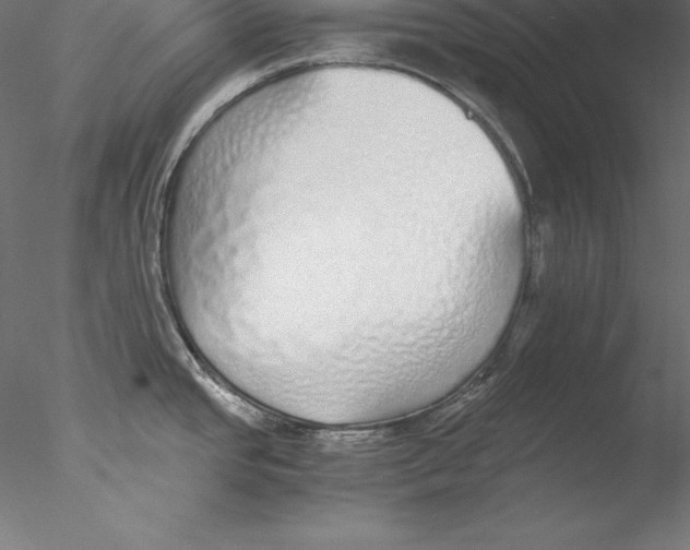 X0000076411437200611031736