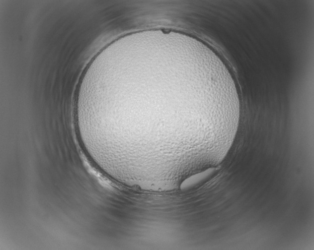 X0000076411439200611031736