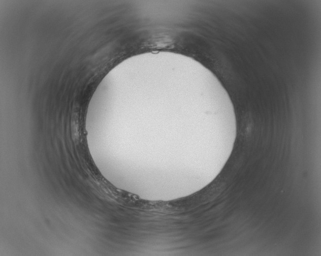 X0000076411442200611031735