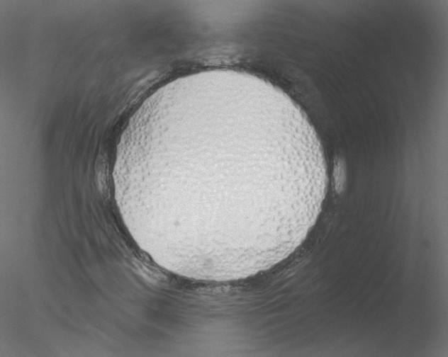 X0000076411444200611031735