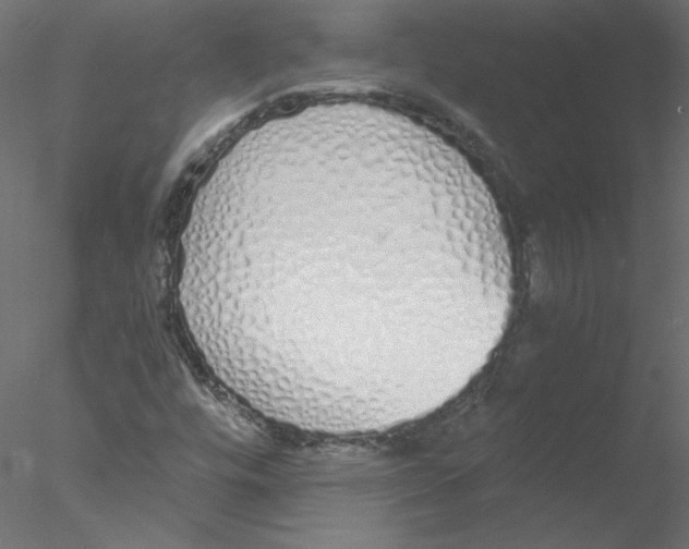 X0000076411448200611031735