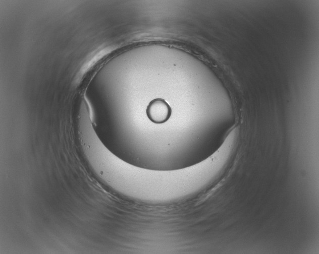 X0000076411453200611031735