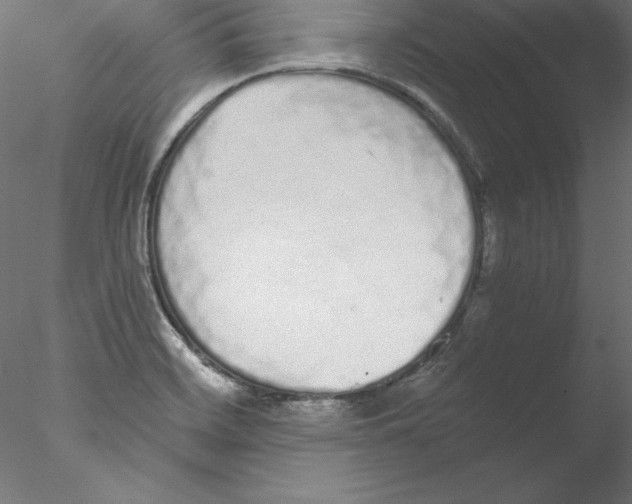 X0000076411468200611031735