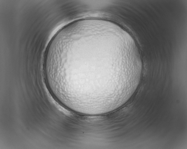 X0000076411483200611031735