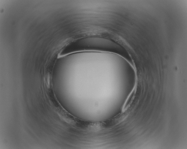 X0000076420076200610061029