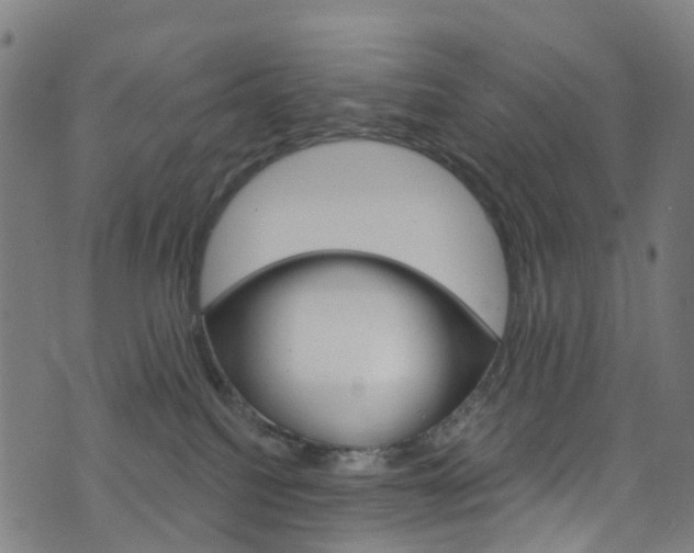 X0000076420088200610061029