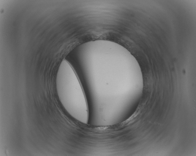 X0000076420090200610061029