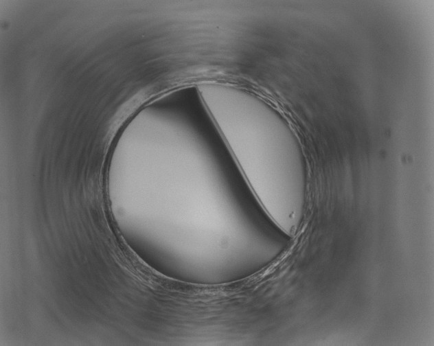 X0000076420099200610061029