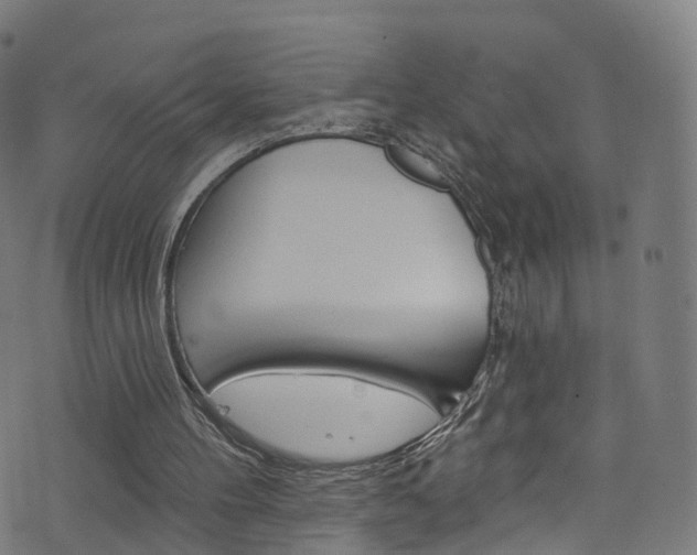 X0000076420100200610061029