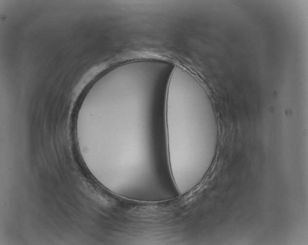 X0000076420104200610061028