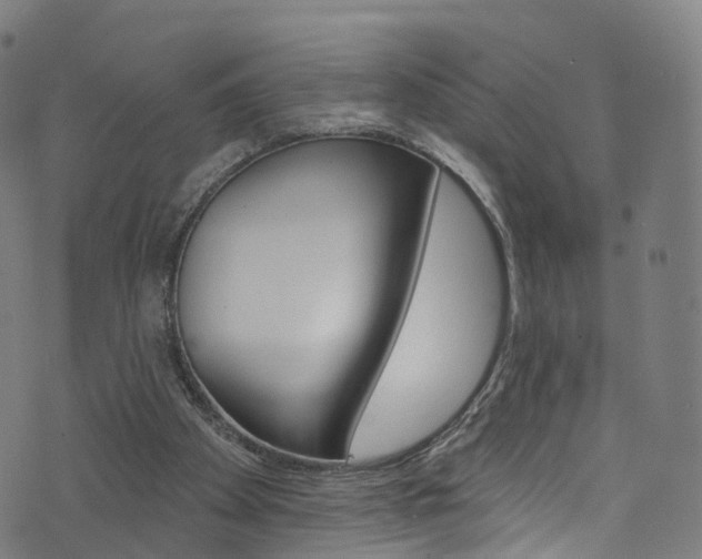 X0000076420105200610061028