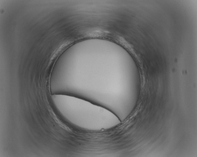 X0000076420106200610061028