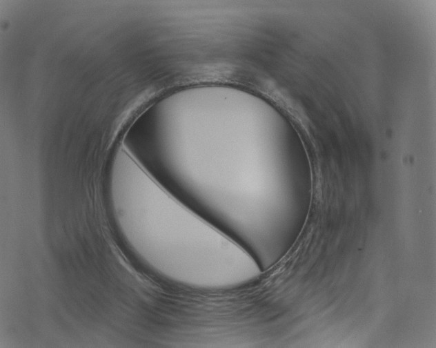 X0000076420107200610061028