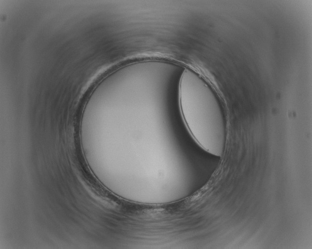 X0000076420108200610061028