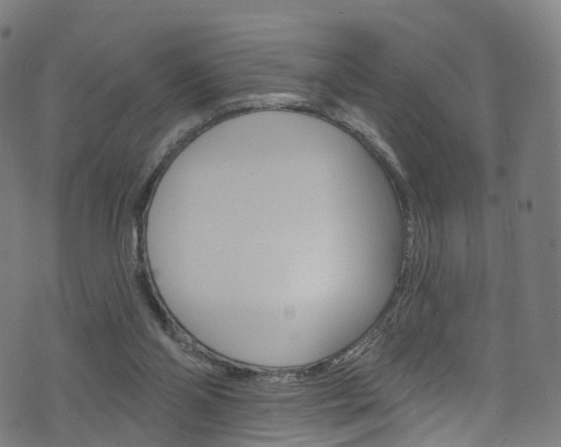 X0000076420110200610061028