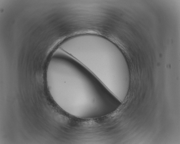 X0000076420112200610061028