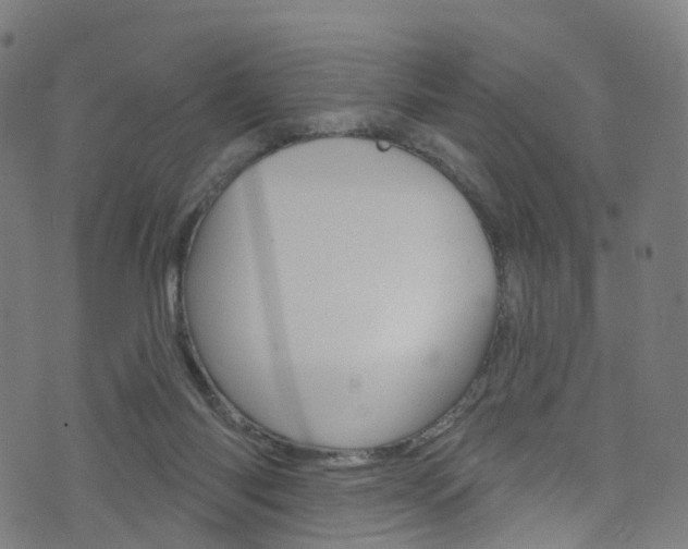 X0000076420118200610061028