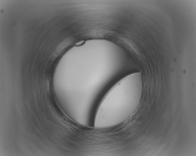 X0000076420120200610061028
