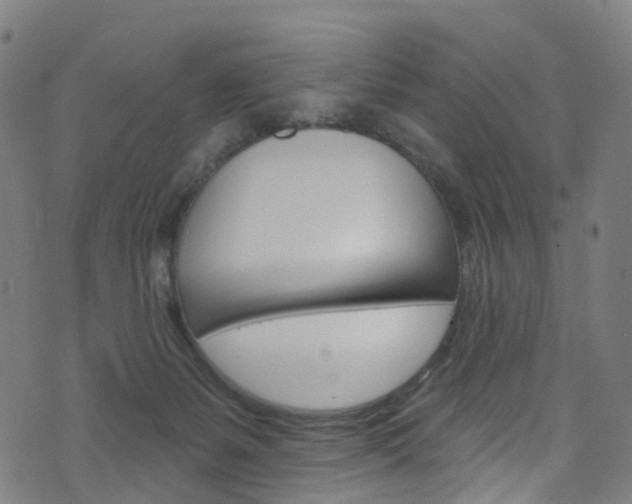 X0000076420127200610061028