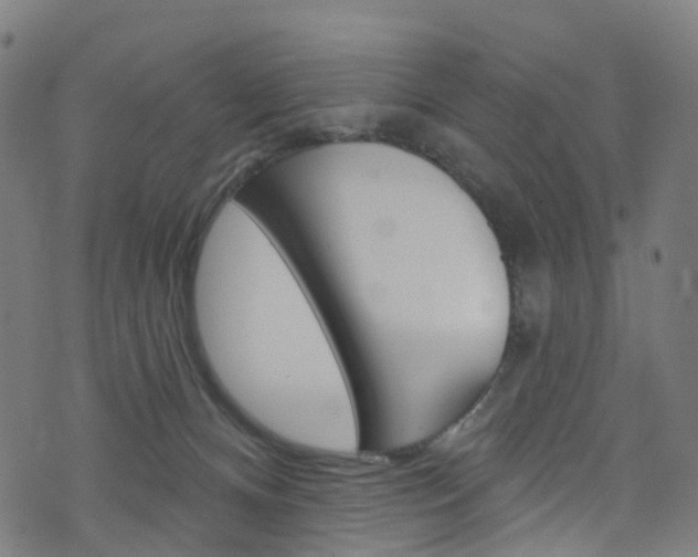 X0000076420128200610061028
