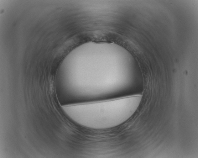 X0000076420129200610061028