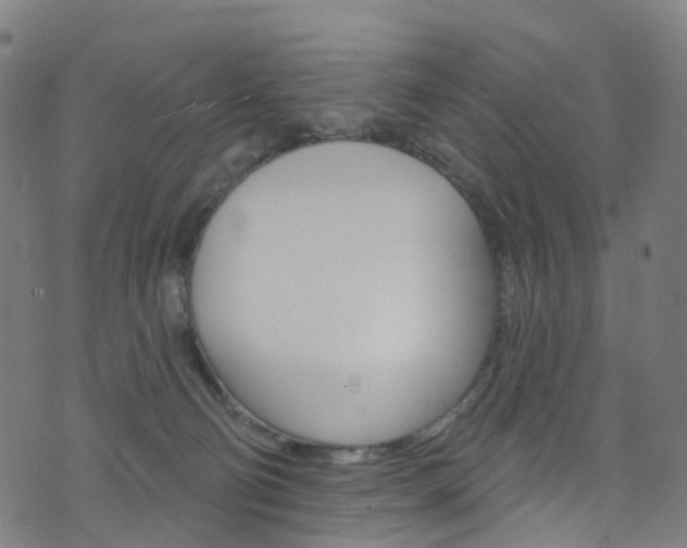 X0000076420130200610061028