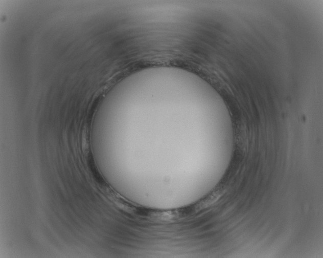 X0000076420131200610061028