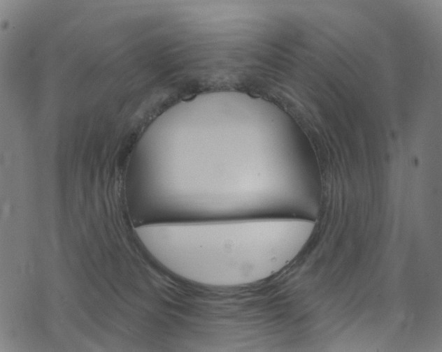 X0000076420133200610061028