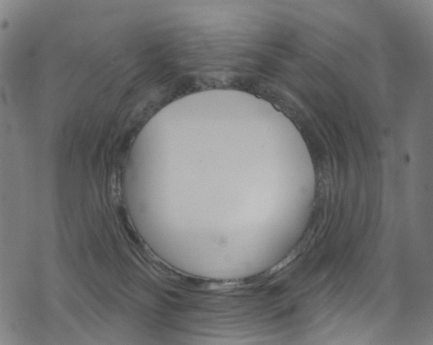 X0000076420134200610061028