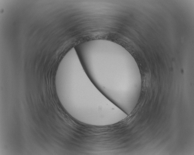 X0000076420138200610061028