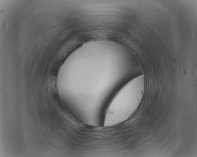 X0000076420141200610061028