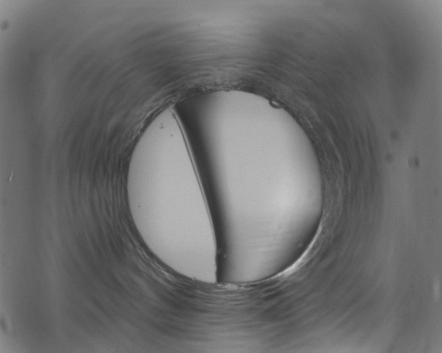 X0000076420144200610061028