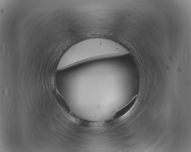 X0000076420192200610061028