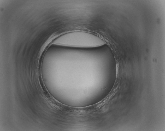 X0000076420195200610061027