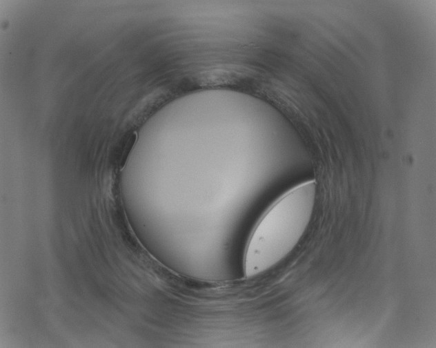 X0000076420219200610061027