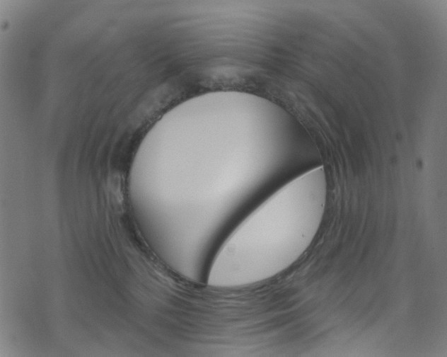 X0000076420232200610061026