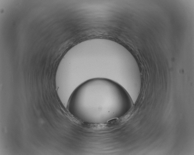 X0000076420288200610061026