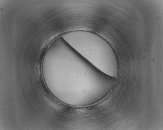 X0000076420302200610061025