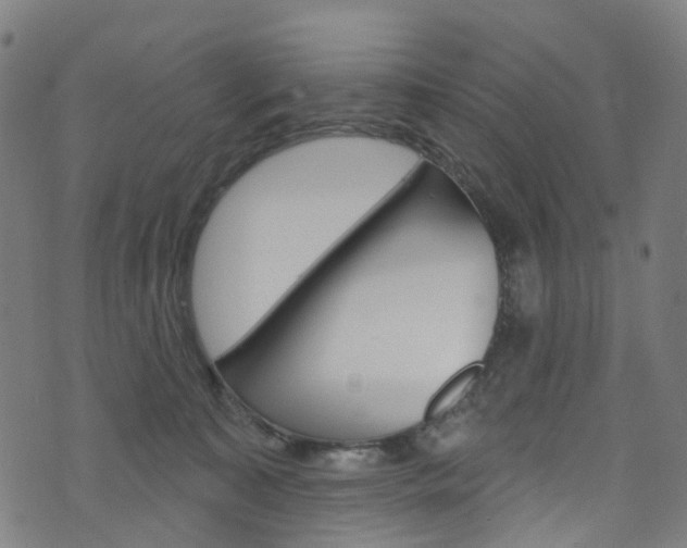 X0000076420323200610061025