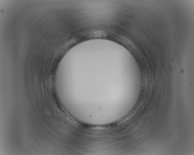 X0000076420326200610061025