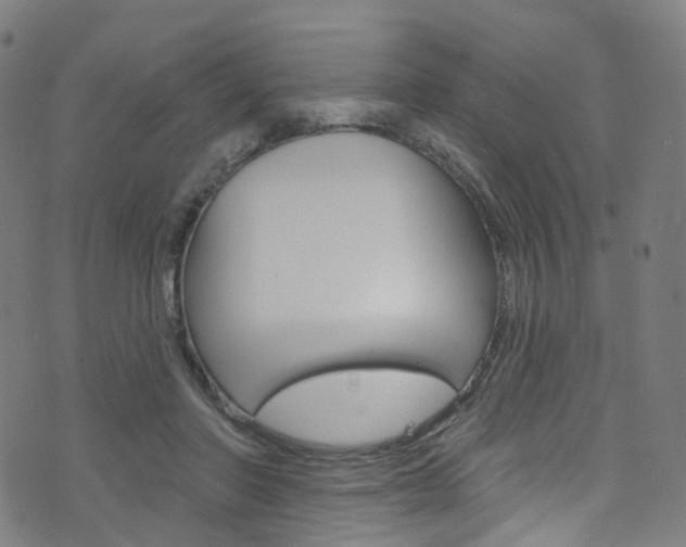 X0000076420406200610061024
